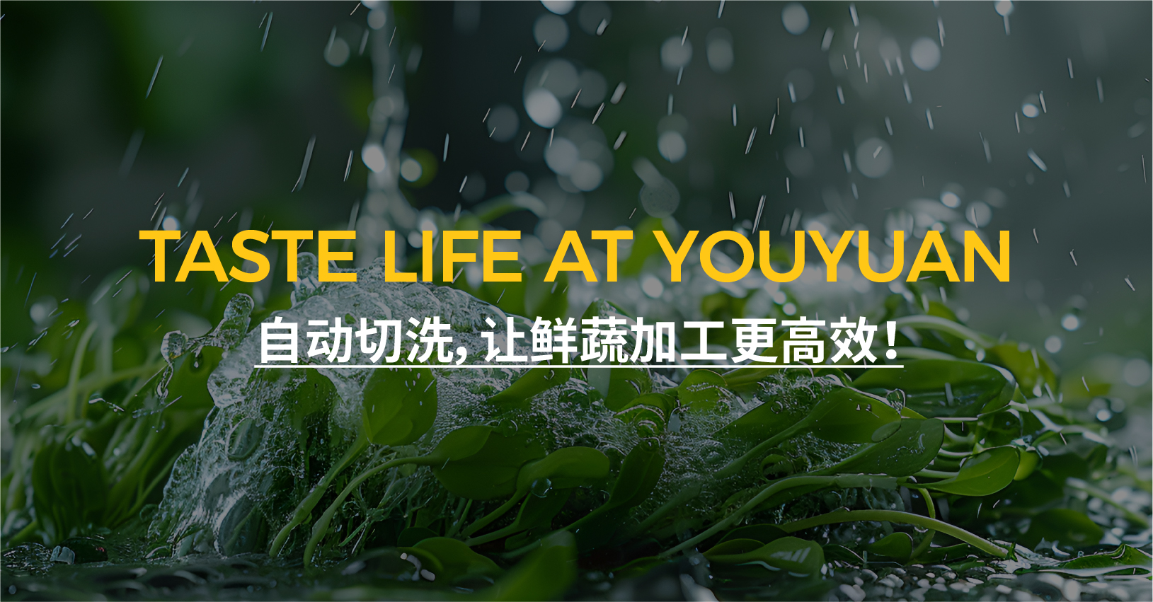 自动切洗 · 精细过滤