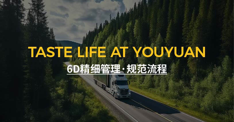 6D精细管理·规范流程